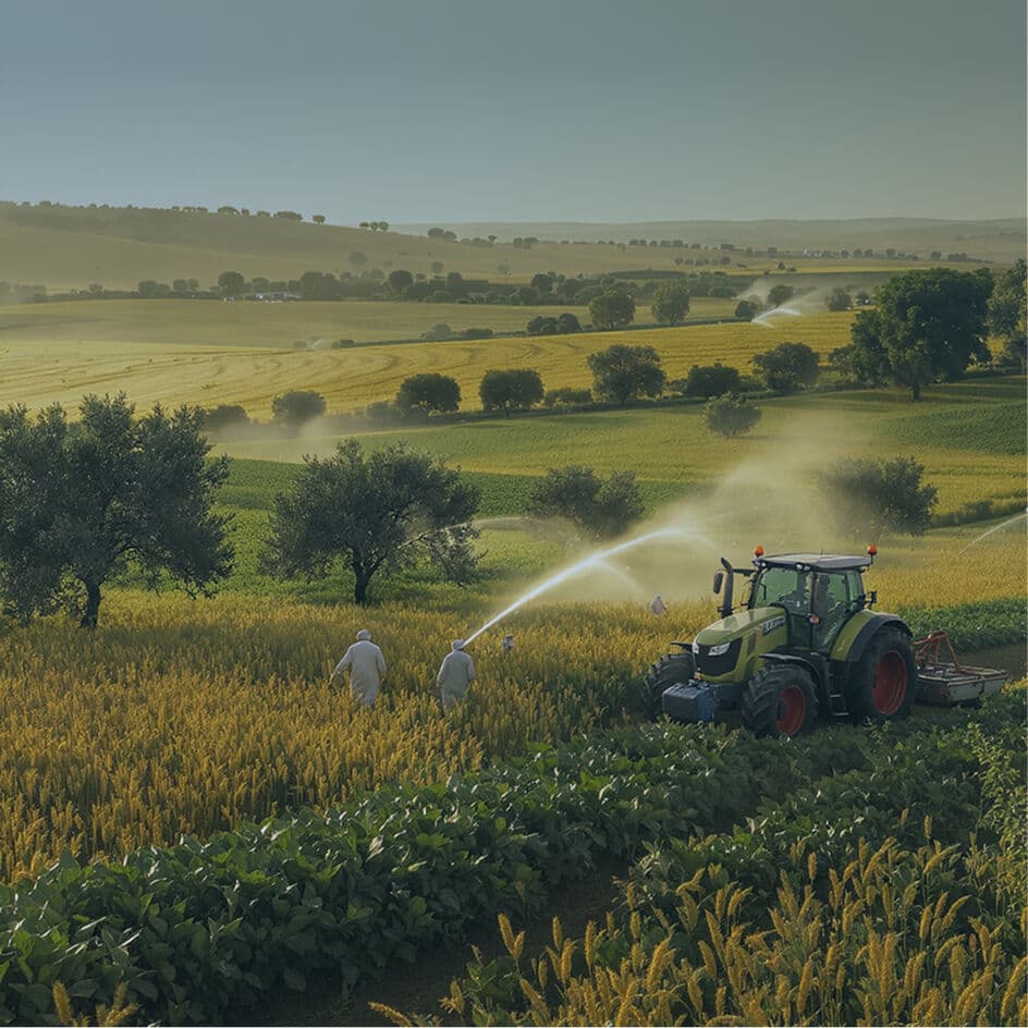 قطاع الزراعة